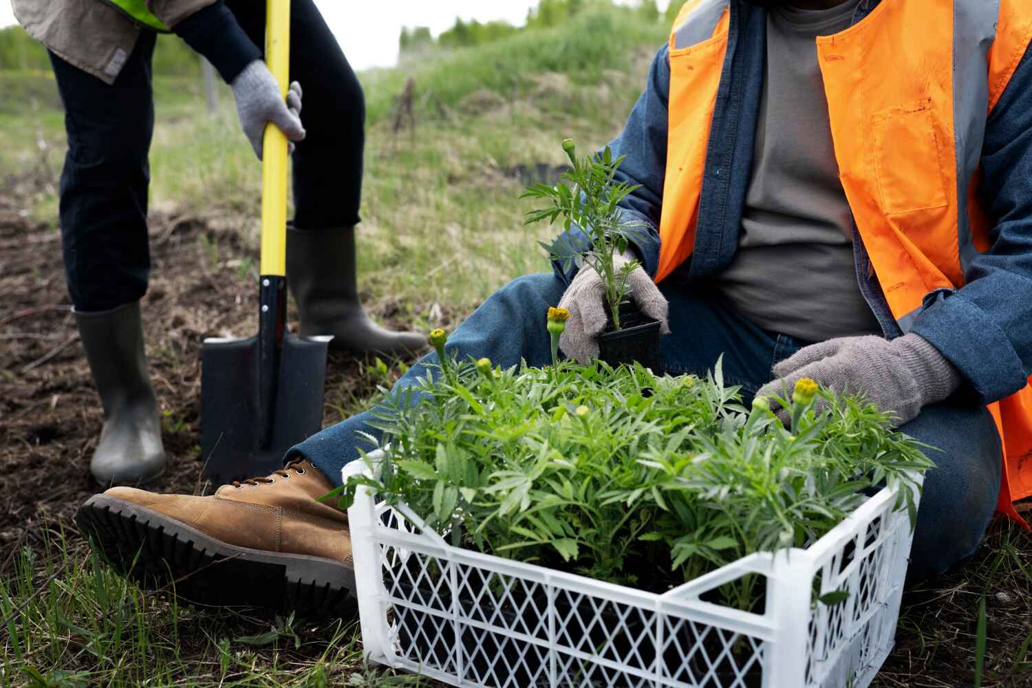 Professional Tree Service in Munford, AL